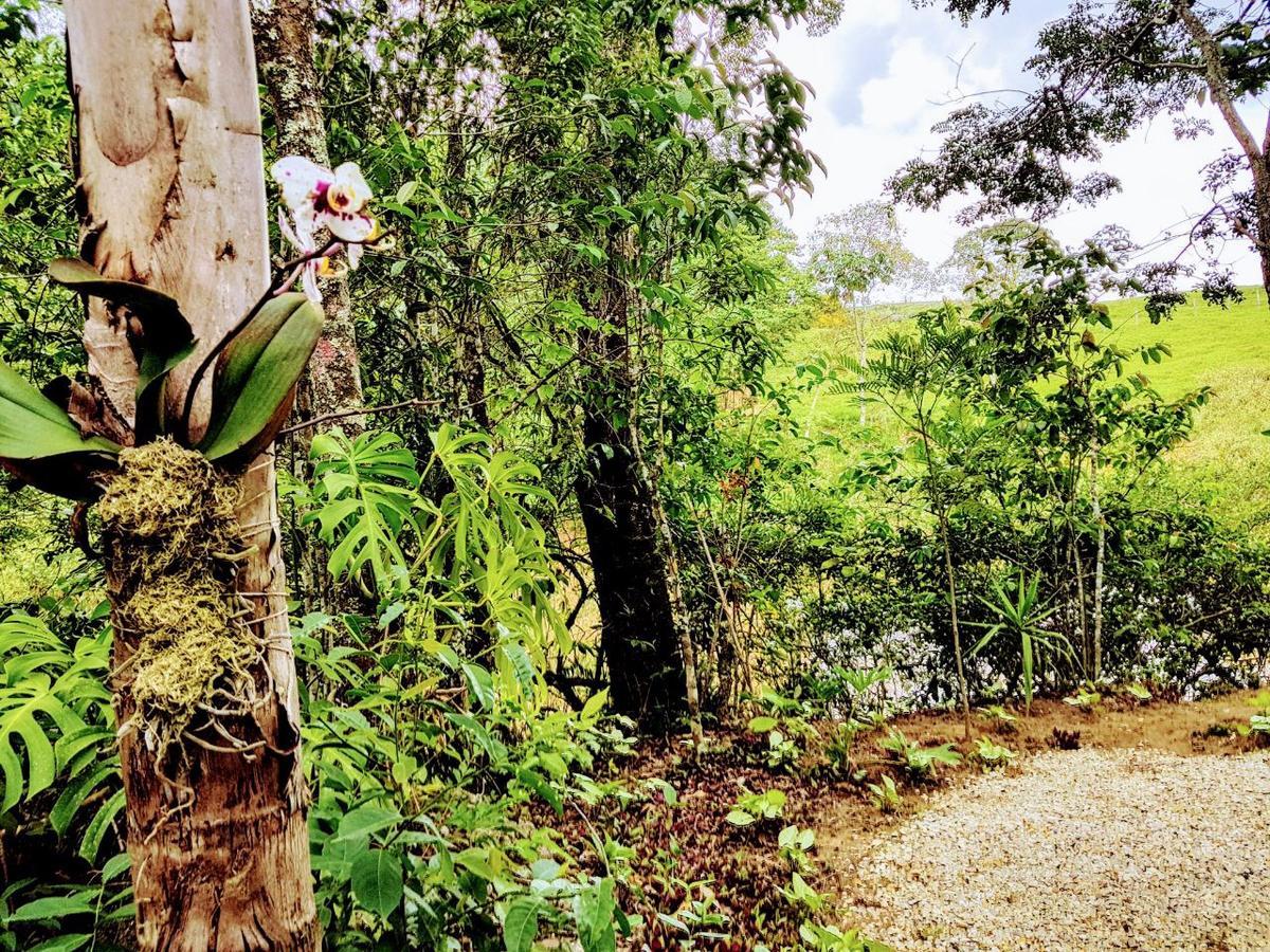 Pousada Santa Thereza Serra Negra  Dış mekan fotoğraf